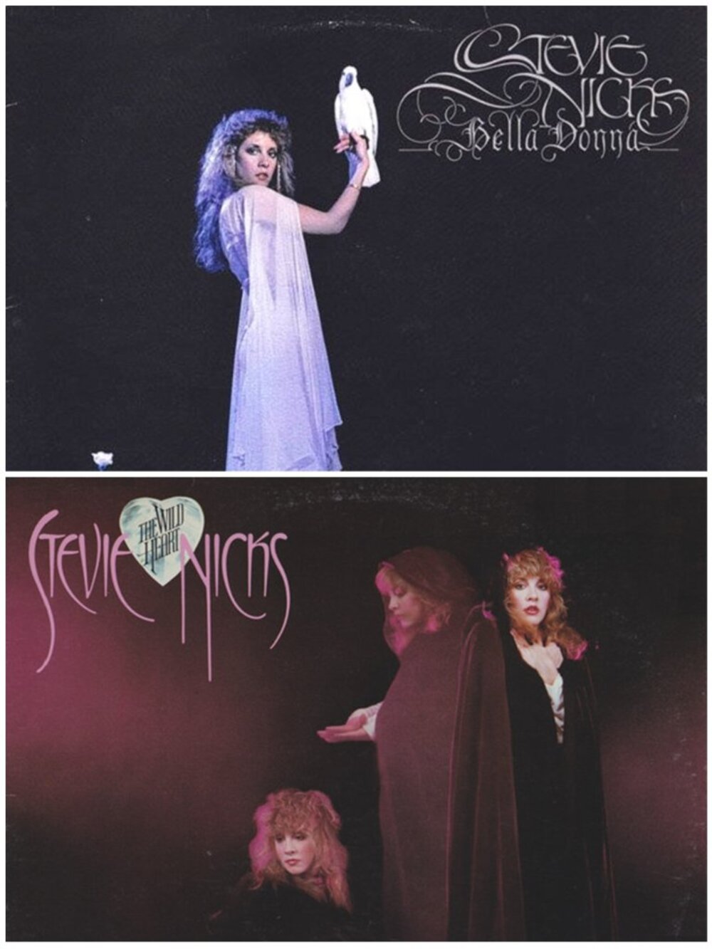 Stevie Nick Vinyl Album